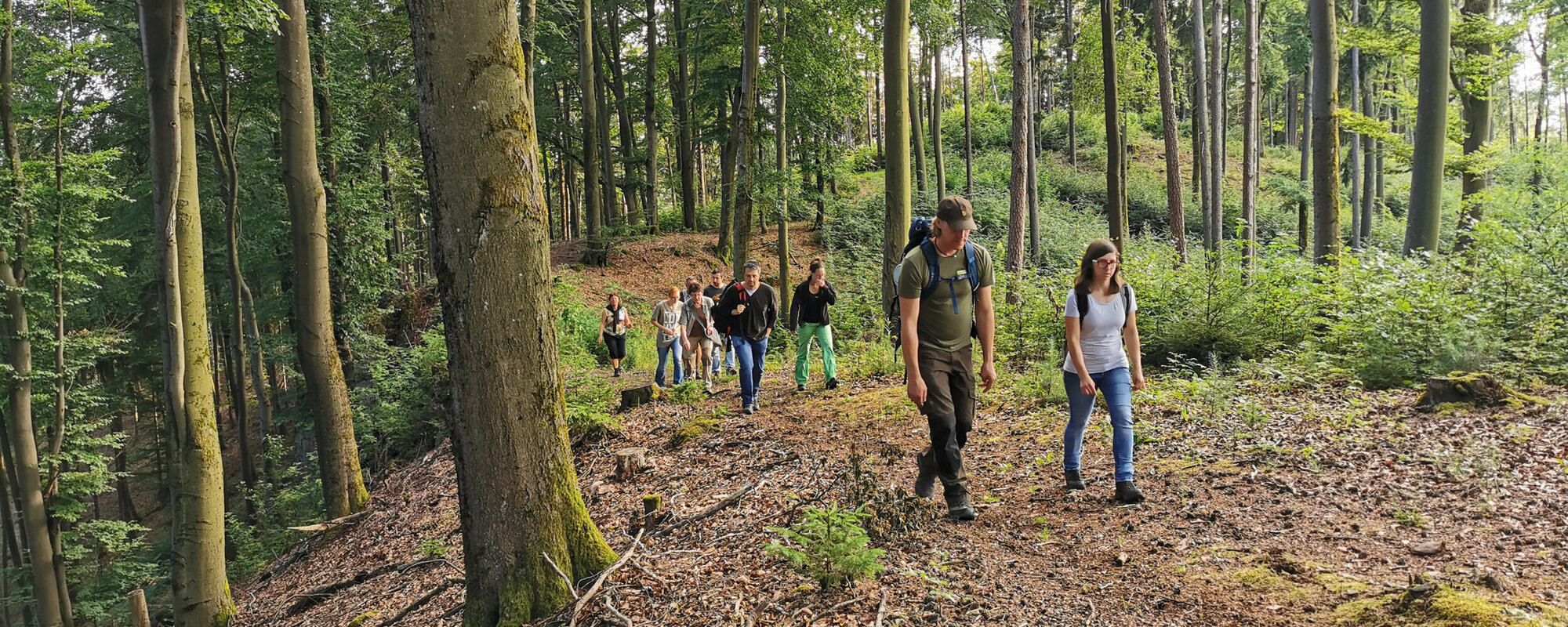 Mehrere Wanderer laufen über braunes Laub durch einen Wald.