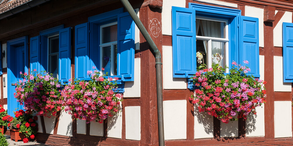 Ein rot-weißes Fachwerkhaus mit blauen Fensterläden und bunten Blumenkästen an den Sprossenfenstern.