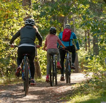 Eine Mutter, ein Kind und ein Vater fahren mit dem Mountainbike auf einem Forstweg durch den Wald.