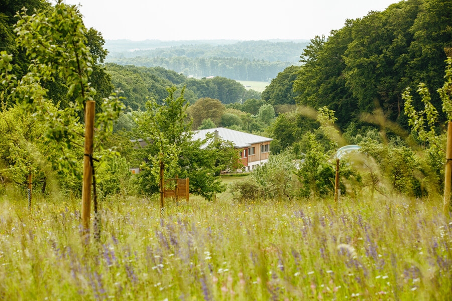 Zwischen Wiesen und Wäldern in einer Hügellandschaft eingebettet ist ein Haus mit Flachdach und Holzfassade zu sehen.