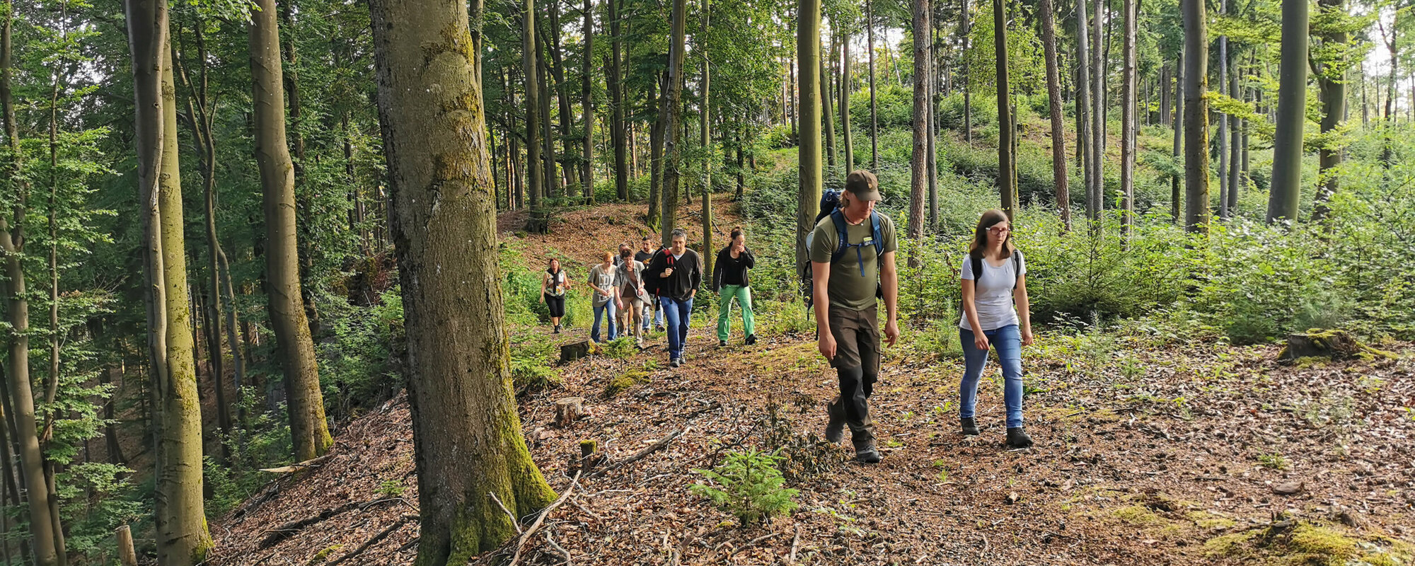 Mehrere Wanderer laufen über braunes Laub durch einen Wald.