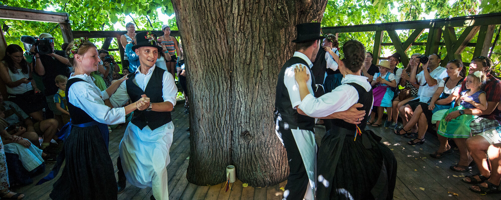 In Tracht gekleidete Paare tanzen in einer Linde um den Baum. Auf den Bänken drumherum sitzen Zuschauer.