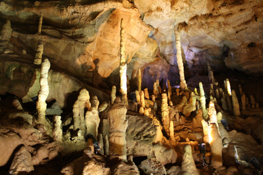 Viele schmale und hochaufragende Tropfsteine in einer Höhle. Sie werden angestrahlt.