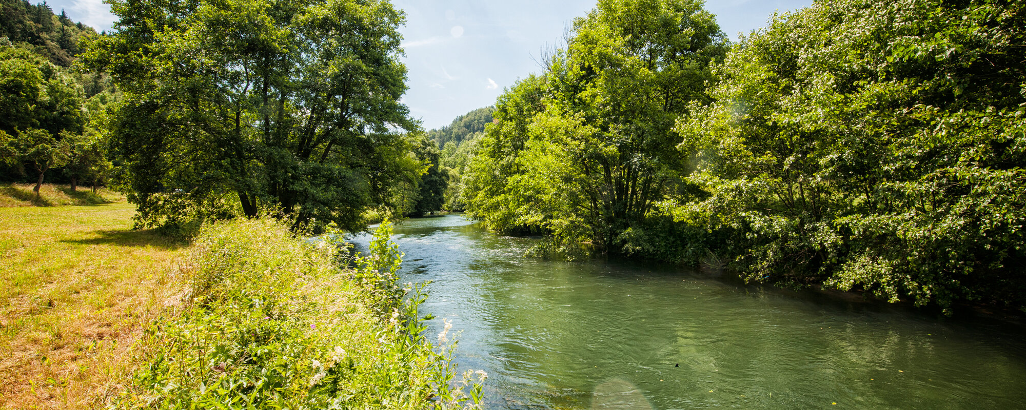 Der Fluss schlängeld sich an einer Wiese entlang und ist teilweise von Bäumen gesäumt.