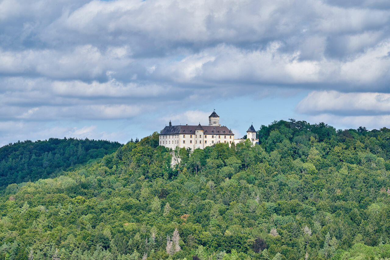 Umgeben von Wald thront das Schloss auf einem Hügel.