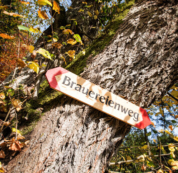An einem Baum hängt ein Holzschild mit der Aufschrift Brauereienweg.