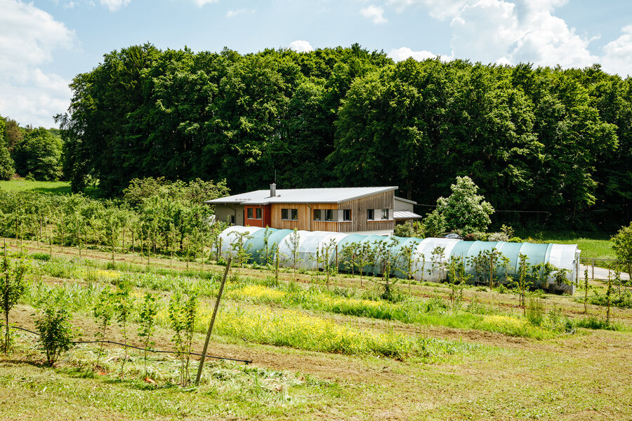 Zwischen einer Obstplantage und dem Waldrand steht ein Haus mit Flachdach und Holzfassade.